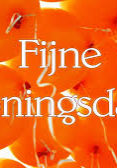 Koningsdag cafe de verlenging Koningsdag cafe de verlenging
